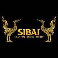 6A15494D21B91Sibai Dp