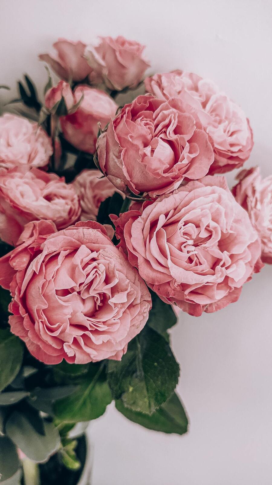floral6889a846aa0f6florals.jpg